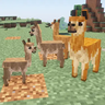 Animal Garden - Vicuna